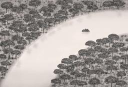 Lee Ching Kai entry image