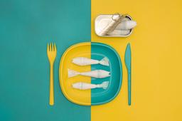 Antonio Coelho entry image