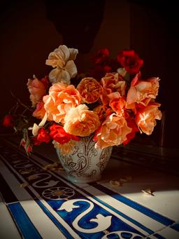 Trina O’Hara entry image